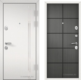 Дверь металлическая утепленная в дом порошковая — массив